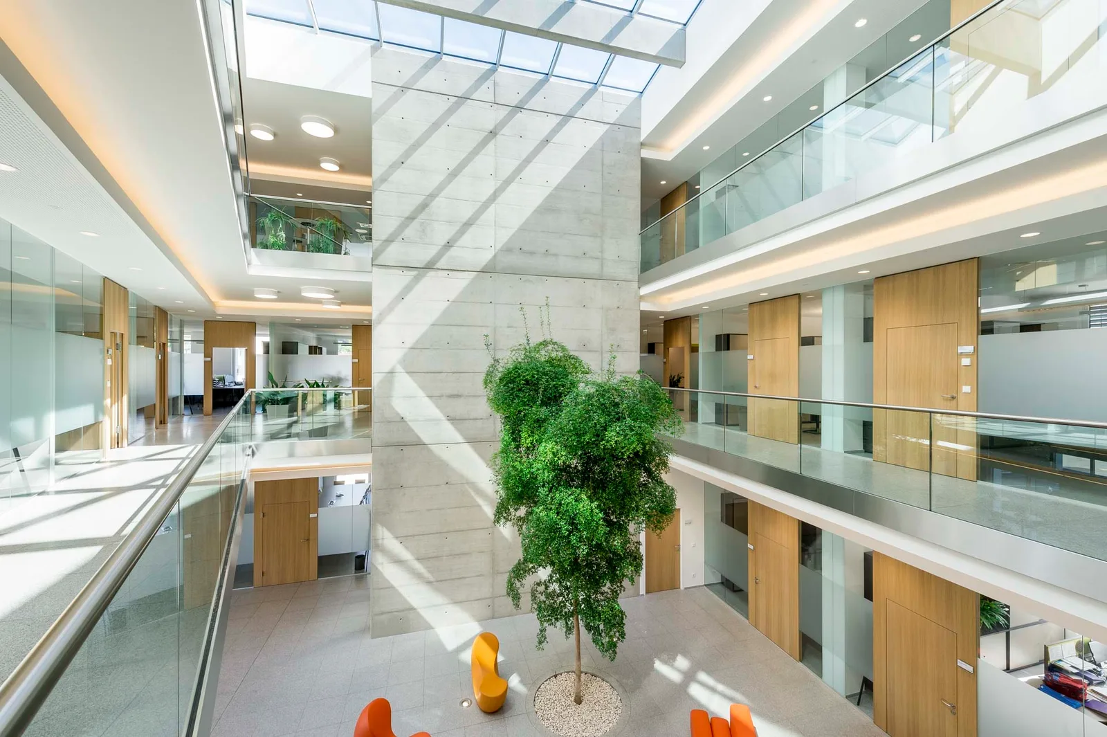 Atrium im Bürogebäude von Krückl Bau mit Glasgeländern, Holztüren und einem Baum